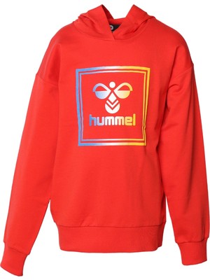 Hummel Leiden Hoodie Çocuk Sweat