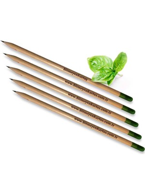 BK Kişiye Özel Fesleğen Tohumlu Çevreci Kurşun Kalem (50 Adet)