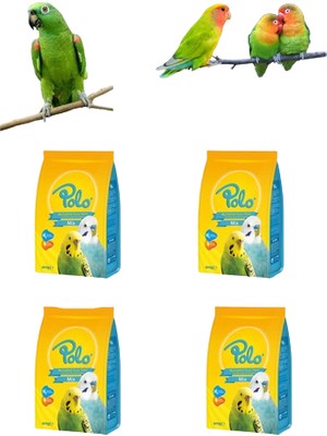 Polo Muhabbet Kuşu Yemi 400 gr x 4 Pk