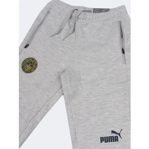 Puma Fenerbahçe Baskılı Gri Tek Alt