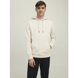 Jack & Jones Kapüsonlu Düz Renk Sweatshirt-12216342