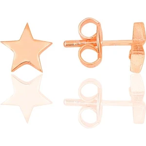 Söğütlü Silver Gümüş Rose Üç Boyutlu Yıldız Küpe