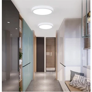 Vies Teknoloji Aydınlatma Tavan Glop Tavan Armatürü Balkon Banyo Lambası LED 6500K Beyaz