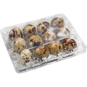 Ucuz Viyol Bıldırcın Yumurtası Viyolü  100 Adet