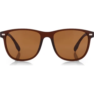 Aqua Di Polo 1987 APSN009602 Unisex Kahverengi Güneş Gözlüğü