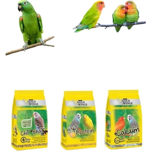 Gold Wings Kuş Maması + Kuş Kumu + Konuşturucu