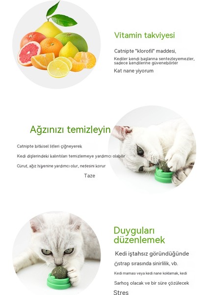 2022 Yeni Catnip Top Kedi Kendini Iyileştiren Nane Oyuncak Kedi Oyuncağı (Yurt Dışından)