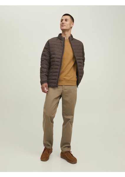 Jjebasıc Sweat Crew Neck Noos - Reg fiyatları