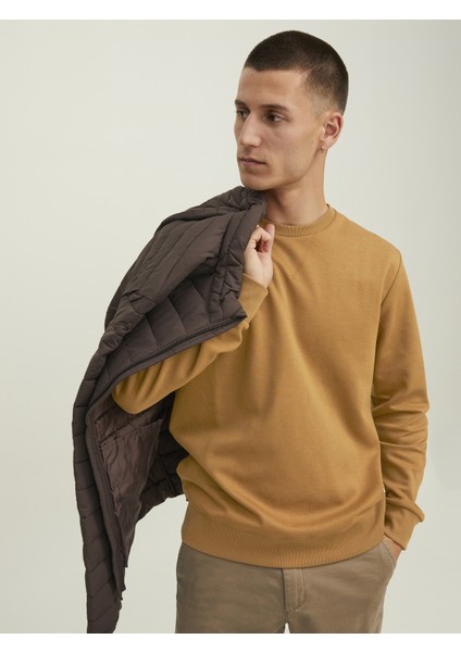 Jjebasıc Sweat Crew Neck Noos - Reg fırsatları
