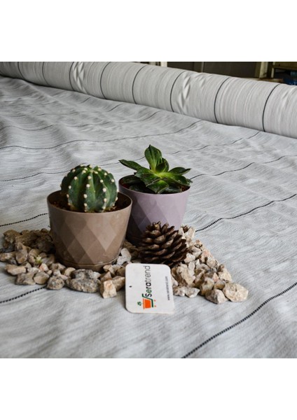 300 cm Enli Beyaz Sulzer Kumaş Sera Taban Örtüsü Jüt Blueberry Peyzaj Uygulama Örtüsü Mulch Naylonu Çilek Malç