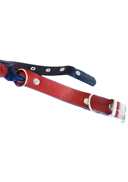 Köpek boyun tasması hakiki deri siyah kahverengi kalınlık:4mm genişlik:2,5cm boyun ölçüsü:M.32-40cm ayarlamalı dog collar T1-9M