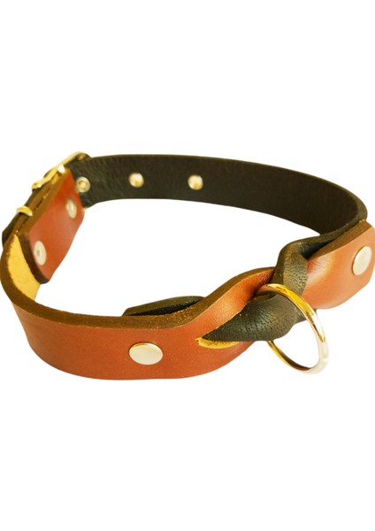 Köpek boyun tasması hakiki deri siyah kahverengi kalınlık:4mm genişlik:2,5cm boyun ölçüsü:L.36-45cm ayarlamalı dog collar T1-9L modelleri