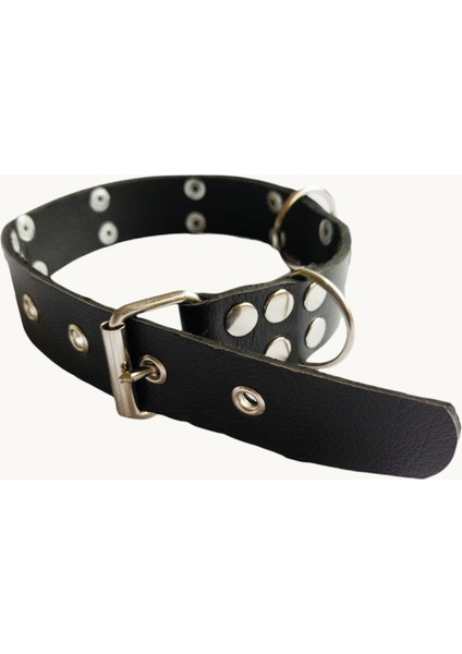 Köpek boyun tasması siyah deri fermuarlı kalınlık:4mm genişlik:3cm boyun ölçüsü:24-32cm ayarlamalı dog collar T5-23XS