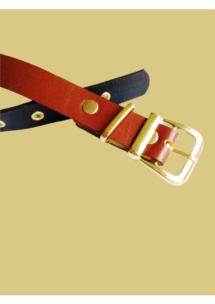 Köpek Boyun Tasması / Hakiki Deri / S: 27-35 Cm / Dog Collar modelleri
