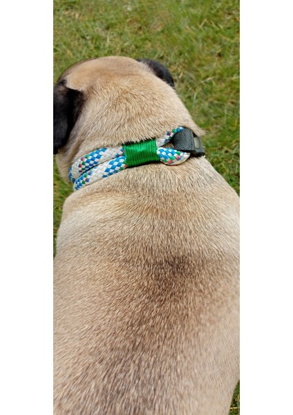 Köpek boyun tasması hakiki deri siyah halat kalınlık:10mm boyun ölçüsü:S.27-35cm ayarlamalı dog collar T5-4S