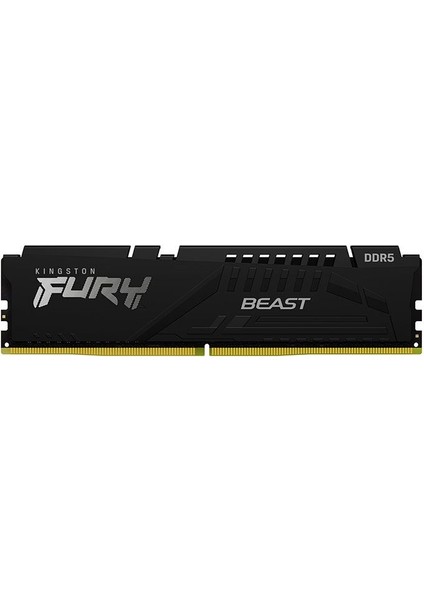 FURY Beast 16GB DDR5 5600MHz CL40 Performans Rami