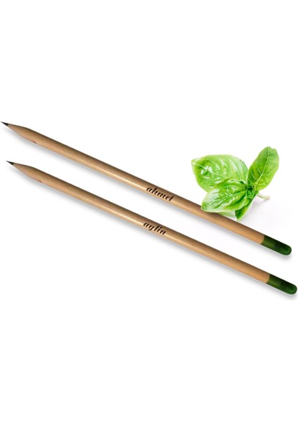 Kişiye Özel Ikili Fesleğen Tohumlu Çevreci Kurşun Kalem