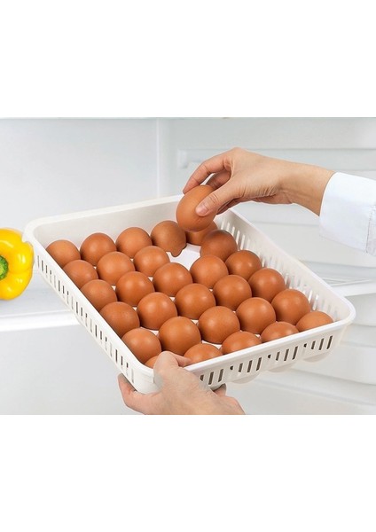 2 Adet Yumurta Saklama Kabı 30'lu , Steril Yumurtalık, Kapaklı Yumurta Organizeri
