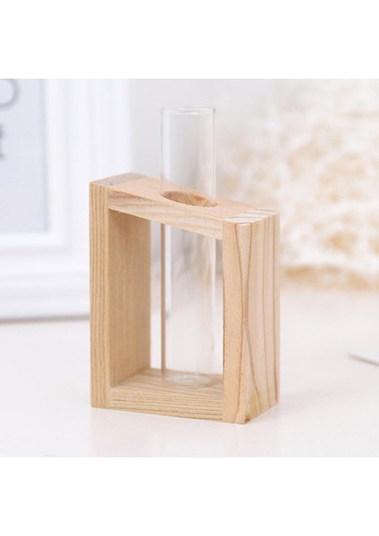 Çiçek Bitki Hidroponik Vazo Cam Teraryum Konteyner Ev Masteroter 6.5X4X9 cm