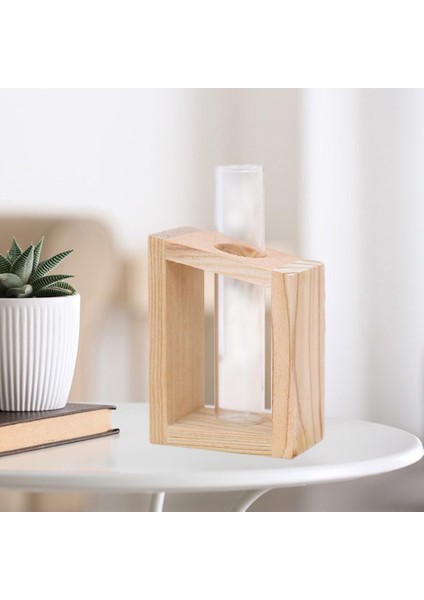 Çiçek Bitki Hidroponik Vazo Cam Teraryum Konteyner Ev Masteroter 6.5X4X9 cm