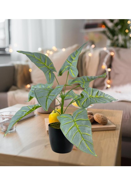 Yapay Çiçek Fil Kulağı Açık Yeşil Islak Doku Salon Bitkisi Siyah Saksıda 40CM 9 Yapraklı