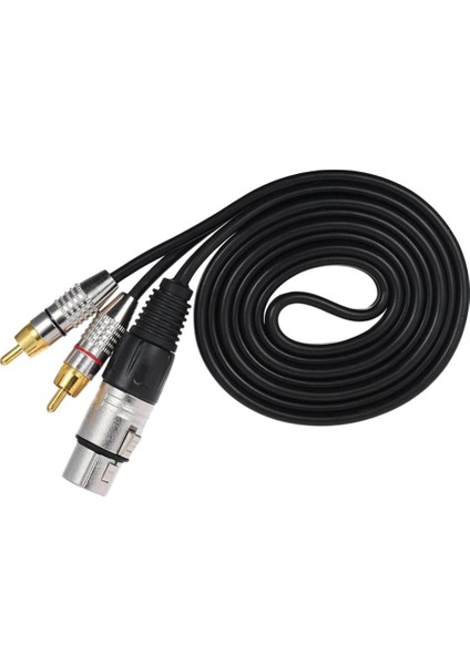 2x 2 Rca Erkek - Xlr 3 Pin Kadın Hoparlör Kablo Adaptörü (Yurt Dışından) fiyatları