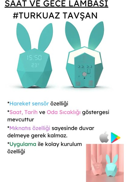 Turkuaz Tavşan Duvar Saati ve Aydınlatma