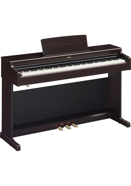 YDP165R Dijital Piyano (Gül Ağacı)