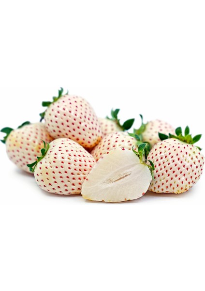 Fidan Yolu Beyaz Çilek (Pineberry) 6 Adet Saksılı