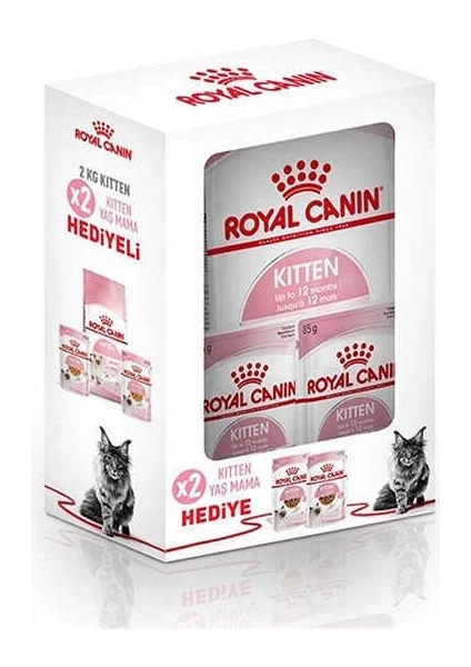 Royal Canin Kitten Küçük Irk Yavru Kedi Maması 2 kg + 2 'li Yaş Mama Hediye