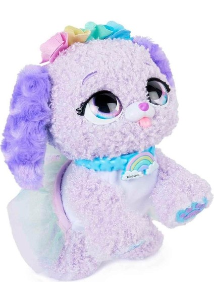 Gökkuşağı Perisi modelleri