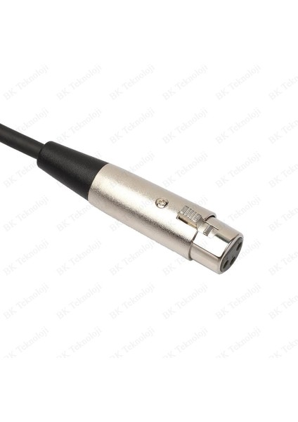 Xlr 3-Pin Dişi 6.35MM Stereo Fiş Korumalı Mikrofon Ses KABLOSU-30CM indirimleri