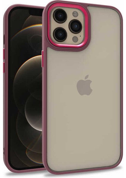 Apple iPhone 12 Pro Max Flora Sert Silikon Arkası Cam Şeffaf Kırmızı