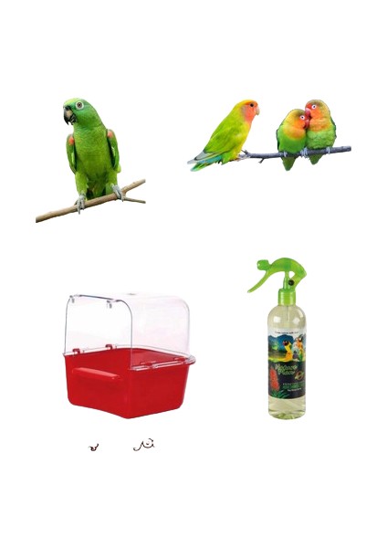 Kuş Banyosu + Kuş Banyo Spreyi