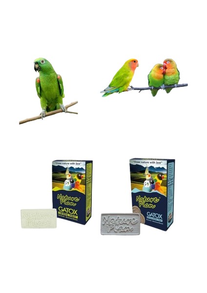 Gatox Kuş Gaga Taşı + Gatox Grit Gaga Taşı