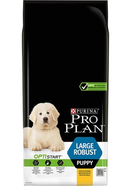 Large Robust Yavru Köpek Maması 12 kg