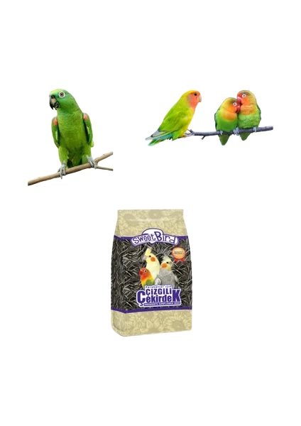 Sweet Bird Cennet - Sultan Papağanı Çekirdeği Çizgili 500 gr