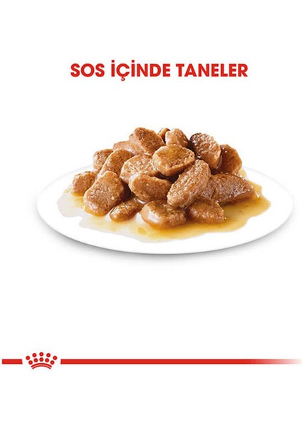 85 gr Mini Adult Yetişkin 12ADET Yaş Köpek Maması modelleri