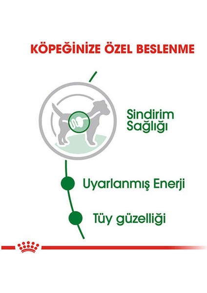 85 gr Mini Adult Yetişkin 12ADET Yaş Köpek Maması fırsatları