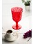 Akrilik Kırmızı Ayaklı Bardak & Su Meşrubat Kadeh Kahve Yanı Bardağı 450 ml ( Cam Değildir ) 2