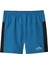 Woven - Eu Erkek Short - NF0A5IEW 2