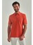 Erkek Balenli Yaka  Basic Regular Fit T-Shirt ORANJ TS22Y22013_D22 1