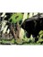 /dark Horse Comics: Justice League Vol. 1 Ingilizce Çizgi Roman 4