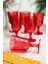 Akrilik Kırmızı Ayaklı Bardak & Su Meşrubat Kadeh Kahve Yanı Bardağı 450 ml ( Cam Değildir ) 4