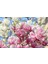 Yaprak Döken Manolya Magnolia 40 Cm 1