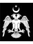 Selçuklu Kartal Sticker Kartal Armalı Türk Sticker 1