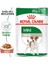 85 gr Mini Adult Yetişkin 12ADET Yaş Köpek Maması 2