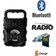 PolyGold PG-397 (KTX-1057) USB/BT/SD Taşınabilir Ses Sistemi PolyGold PG-397 (KTX-1057) USB/BT/SD Taşınabilir Ses Sistemi