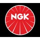 Seçili Renk Renkli