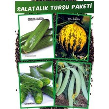 Karbonsoft Salatalık Turşu Tohum Seti 4 Farklı ( Acur, Hıyar, Hıyar Kornişon, Kavun )